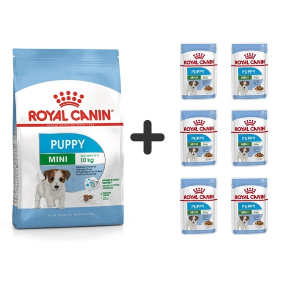 Royal Canin Mini Puppy Yavru Köpek Maması 2 kg + 6 Adet Yaş Mama
