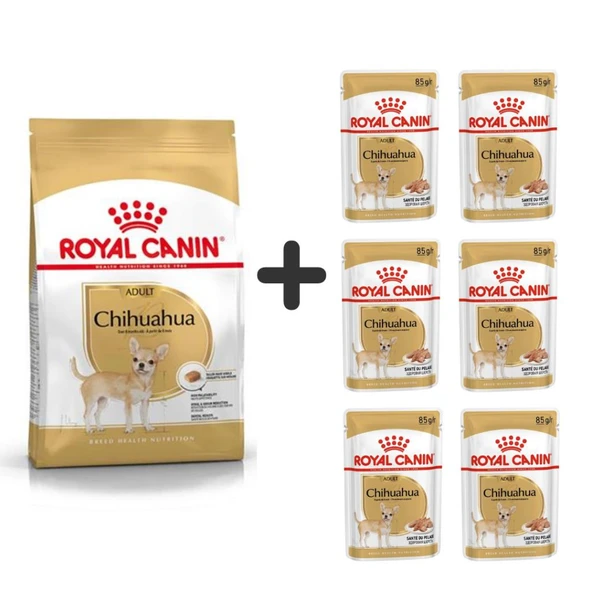 Royal Canin Chihuahua Yetişkin Köpek Maması 1,5 kg + 6 Adet Yaş Mama