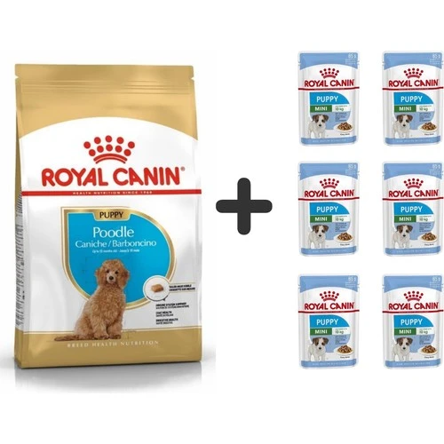 Royal Canin Poodle Puppy Köpek Maması 3 Kg + 6 Adet Yaş Mama