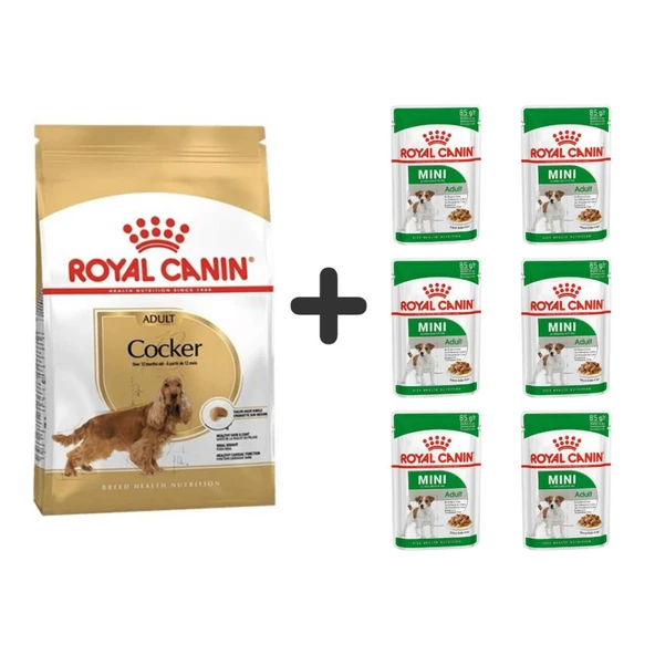 Royal Canin Cocker Yetişkin Köpek Maması 3 kg + 6 Adet Yaş Mama