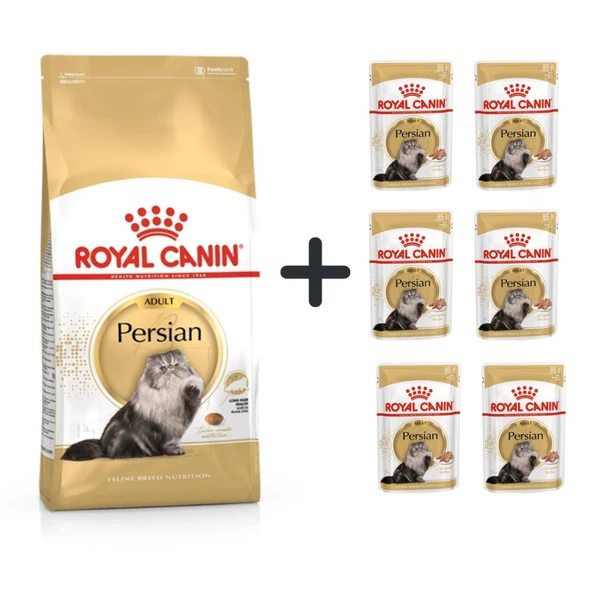Royal Canin Persian Yetişkin Kedi Maması 4 kg + 6 Adet Yaş Mama