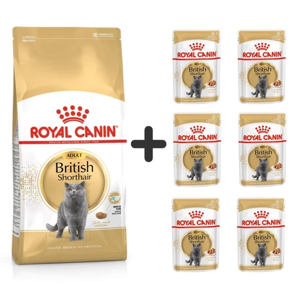 Royal Canin British Shorthair Yetişkin Kedi Maması 2 kg + 6 Adet Yaş Mama