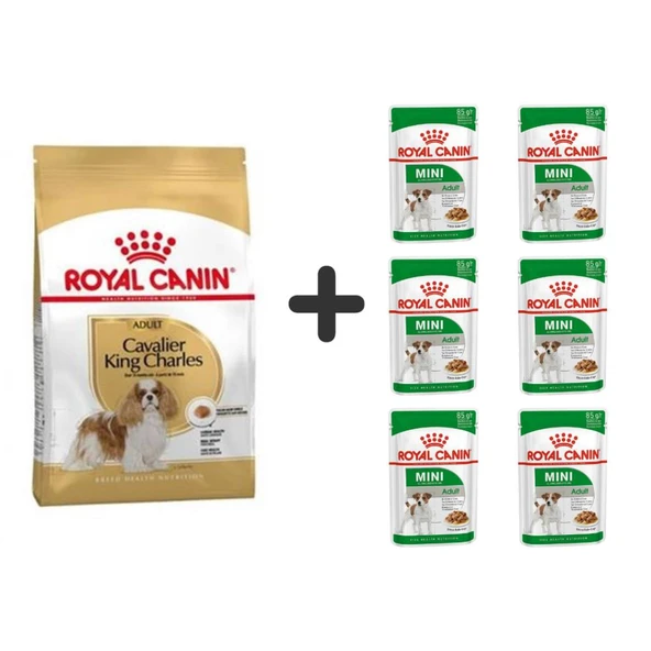 Royal Canin Cavalier King Charles  Yetişkin Köpek Maması 1,5 kg + 6 Adet Yaş Mama ürün görseli