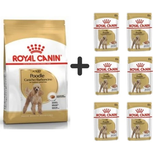 Royal Canin Poodle Adult Köpek Maması 3 Kg + 6 Adet Yaş Mama