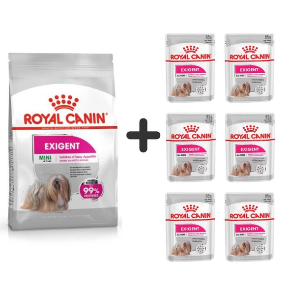 Royal Canin Mini Exigent Köpek Maması 3 Kg + 6 Adet Yaş Mama