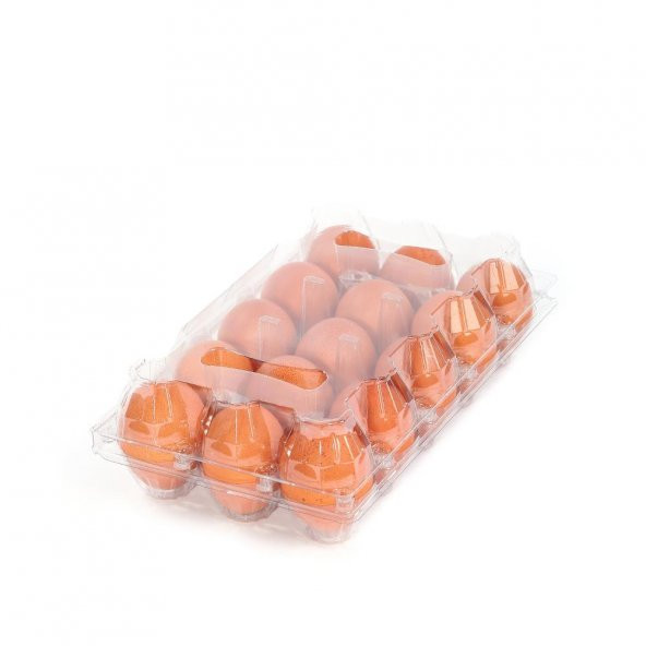 15li Plastik Yumurta Viyolü (300 Adet) ViyolPazarı