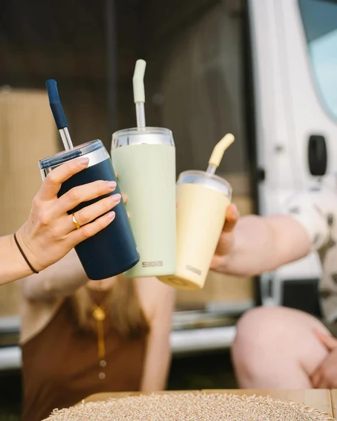 Sigg 6015 Helia 0,60 LT Çelik Termos - 2