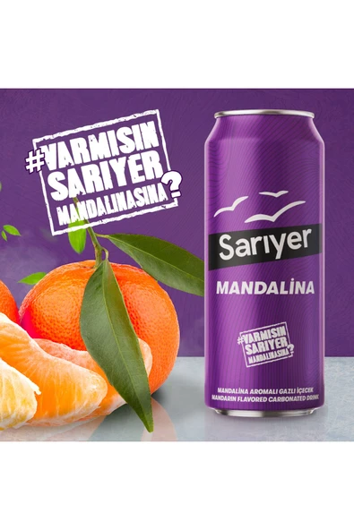 Sarıyer Mandalina Aromalı Gazoz 330ml X 24 Adet - 2