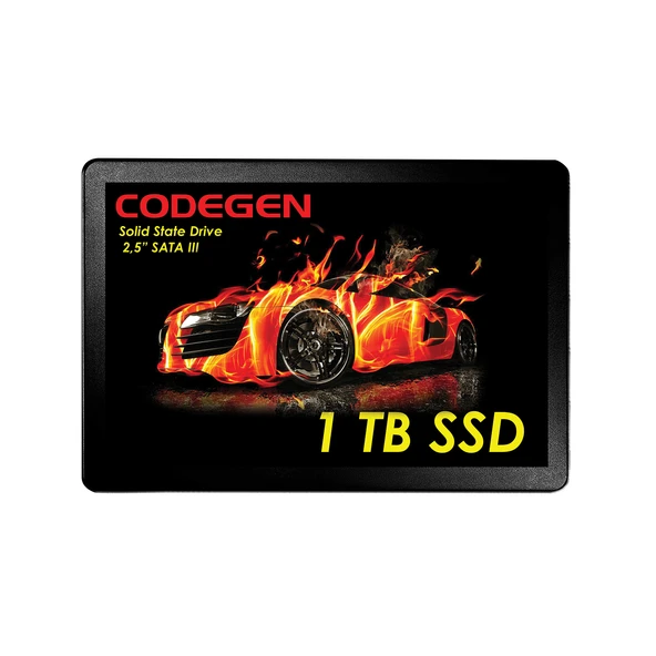 CODEGEN 1 TB 2.5" SATA3 SSD 500/450 CDG-1TB-SSD25