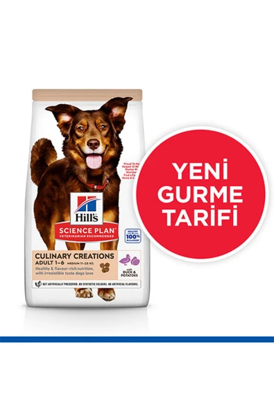Hill's Culinary Creations Ördek Etli ve Patatesli 14 kg Yetişkin Köpek Maması - 2