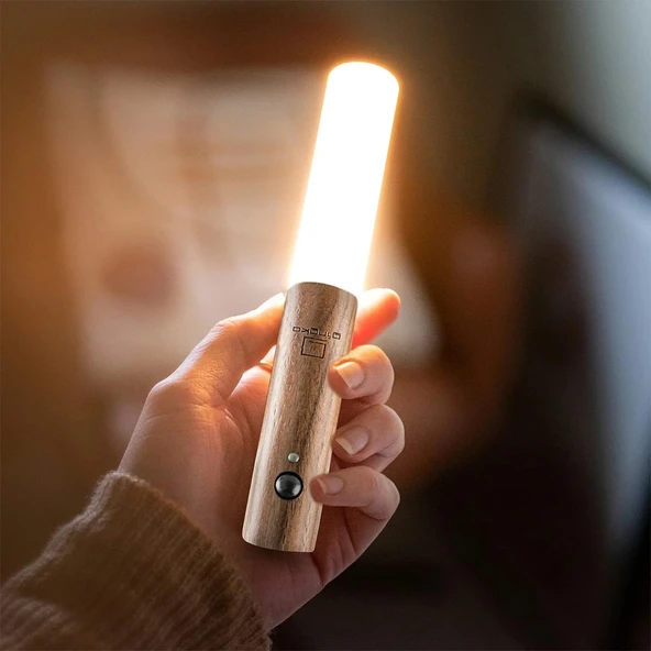 CATA CT-5250 Kumru şarjlı LED Aplik ahşap görünüm Günışığı Beyaz ışık merdiven koridor dış cephe bahçe aydınlatma - 7