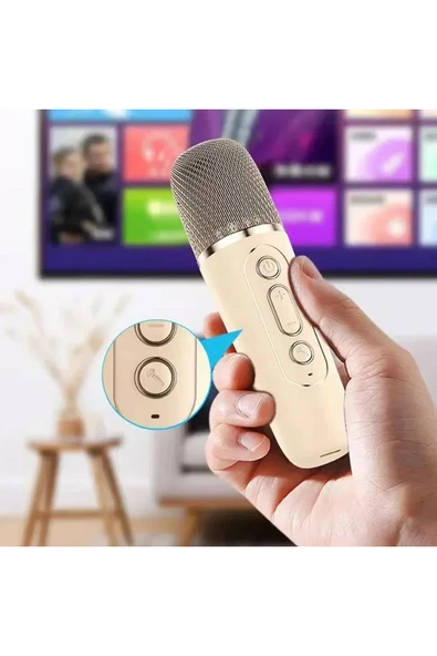 Mini Kablosuz Bluetooth Karaoke Hoparlör Kareoke Makinesi Çocuklar İçin Evde Karaoke Seti - Resim 6