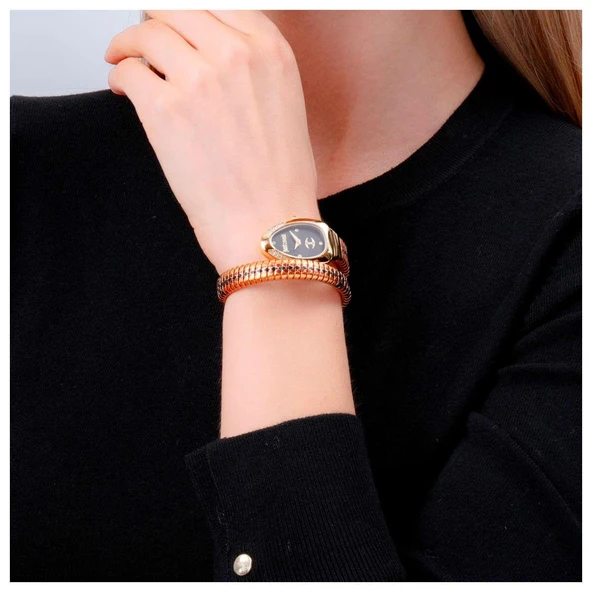 Just Cavalli JC1L251M0055 Kadın Kol Saati - Resim 2