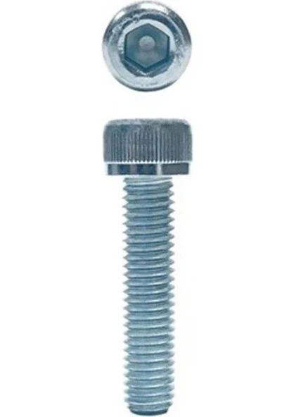 M12-30 GALVENİZLİ İMBUS (ALLEN BAŞLI) CİVATA 8.8 125 ADET
