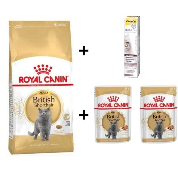 Royal Canin British Shorthair Yetişkin Kedi Maması 2 kg+2 Adet RC Yaş Mama 85 Gr + 20 gr GimCat Malt