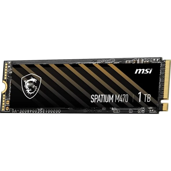 MSI 1TB SPATIUM M470 PRO 6000-4500MB/s M2 NVME GEN4 DİSK - 2