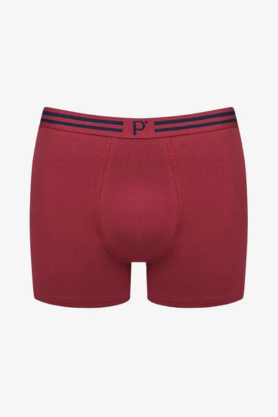 Colourful 3lü Çok Renkli Boxer Külot - 2