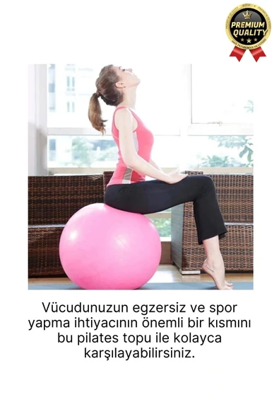 Premium Mini Gymball 20cm Jimnastik Denge Fitness Spor Şişirme Pompası Hediyeli Pembe Pilates Topu - 2