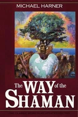 The Way of the Shaman - Michael Harner