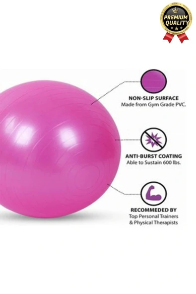 Premium Mini Gymball 20cm Jimnastik Denge Fitness Spor Şişirme Pompası Hediyeli Pembe Pilates Topu - 3