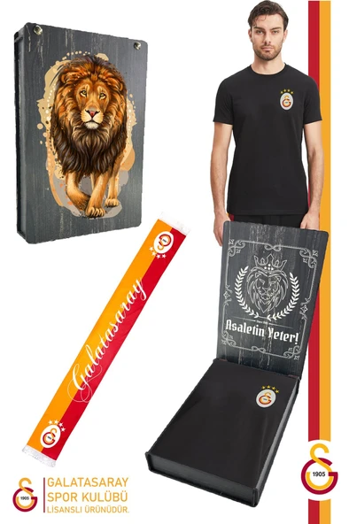Galatasaray Orijinal Lisanslı Siyah Basic T-Shirt + Şal Kaşkol Set Hediyelik Ahşap Kutulu