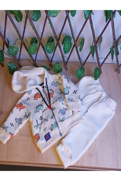 Erkek Çocuk Bebek Dinazor Desenli Kapşünlu Ve Fermuarlı 2 Li Takım - Resim 2