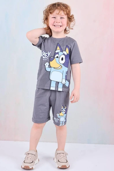 Erkek Çocuk Gri Bluey Köpüş Desenli Kısa Kollu Tişört  Şortlu  Takım