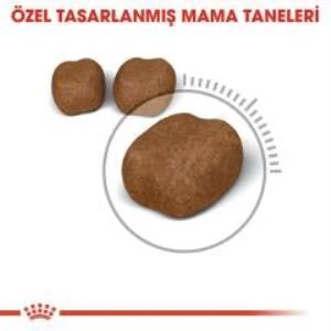 Royal Canin Oral Care Kedi Maması 1,5 Kg + 2 Adet Yaş Mama Hediye - 2