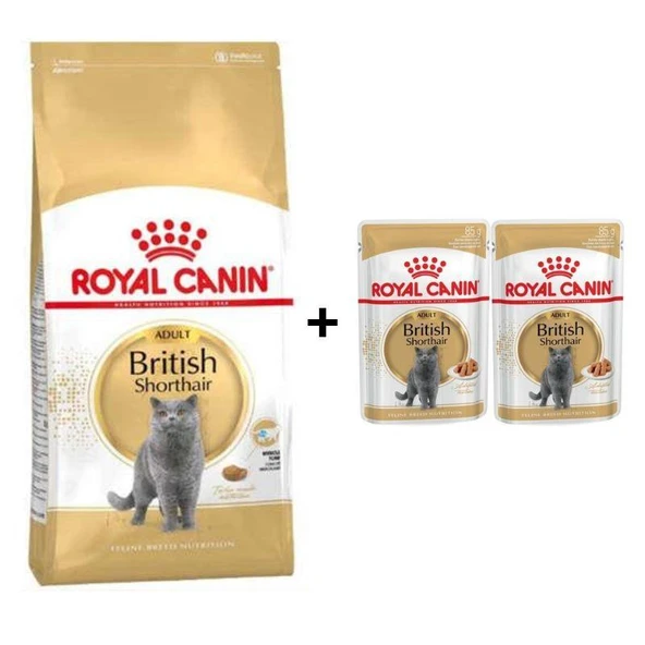 Royal Canin British Shorthair Yetişkin Kedi Maması 2 kg + 2 Adet Yaş Mama Hediye
