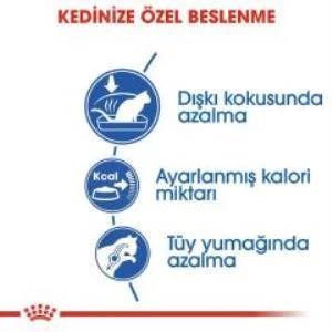 Royal Canin İndoor 27 Kuru Kedi Maması 2 Kg + 2 Adet Yaş Mama Hediye - Resim 4
