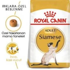 Royal Canin Siamese Yetişkin Kedi Maması 2 kg + 2 Adet Yaş Mama Hediye - 2