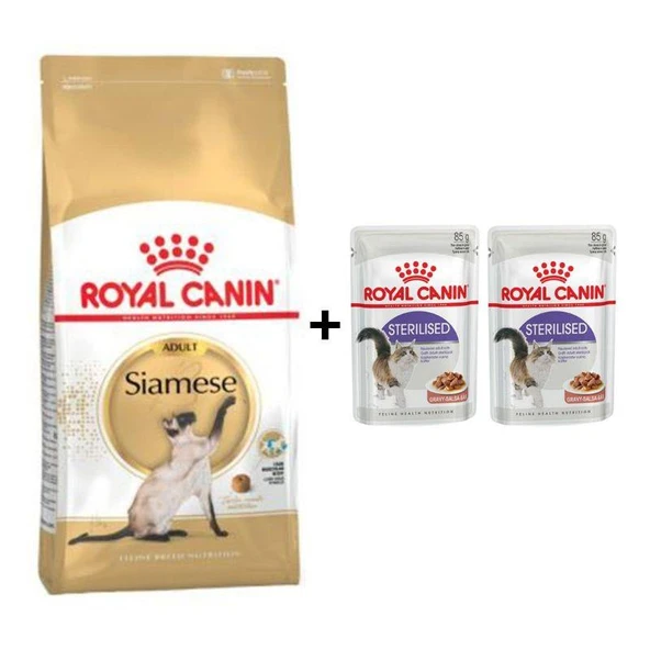 Royal Canin Siamese Yetişkin Kedi Maması 2 kg + 2 Adet Yaş Mama Hediye