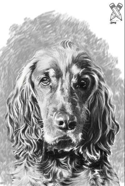 Fotoğraftan Karakalem Çizim Kişiye Özel İkea Çerçeveli 13 cm x 18 cm (KEDİ KÖPEK KİŞİ) - 3