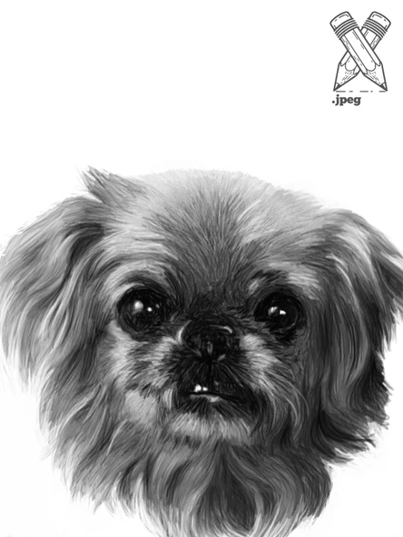 Fotoğraftan Karakalem Çizim Kişiye Özel İkea Çerçeveli 13 cm x 18 cm (KEDİ KÖPEK KİŞİ) - 6