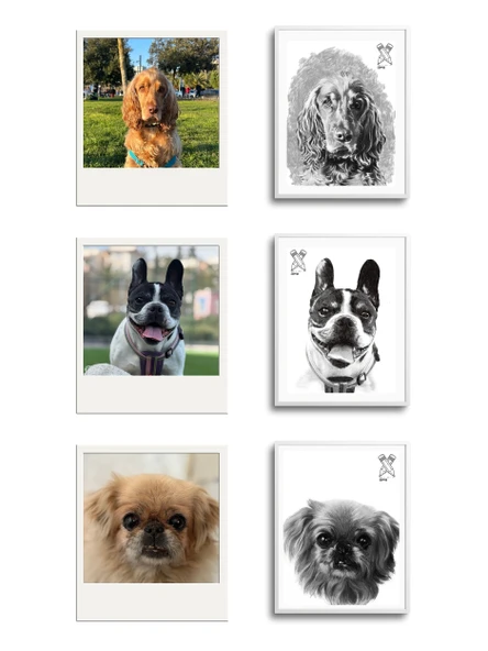 Fotoğraftan Karakalem Çizim Kişiye Özel İkea Çerçeveli 13 cm x 18 cm (KEDİ KÖPEK KİŞİ) - 2