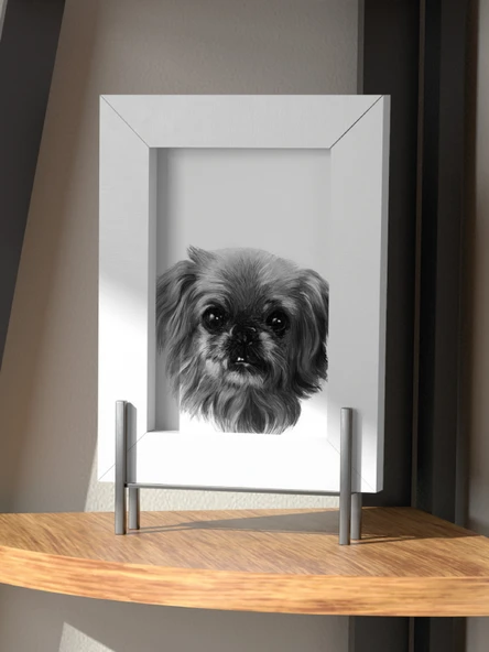 Fotoğraftan Karakalem Çizim Kişiye Özel İkea Çerçeveli 13 cm x 18 cm (KEDİ KÖPEK KİŞİ) - 9