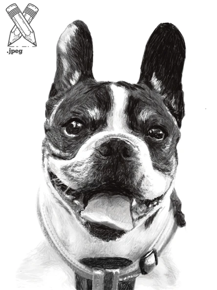 Fotoğraftan Karakalem Çizim Kişiye Özel İkea Çerçeveli 13 cm x 18 cm (KEDİ KÖPEK KİŞİ) - 4