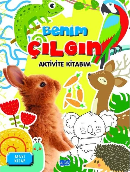 Benim Çılgın Aktivite Seti (4 Kitap) - 2