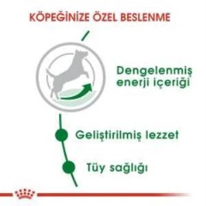 Royal Canin Mini Adult Köpek Maması 4 kg + 2 Adet Yaş Mama Hediye - 7