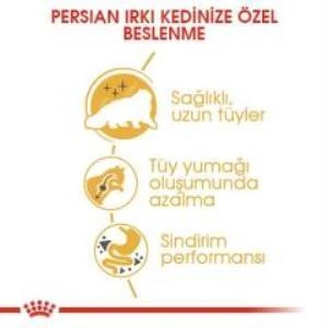 Royal Canin Persian Yetişkin Kedi Maması 4 kg + 2 Adet Yaş Mama Hediye - 5