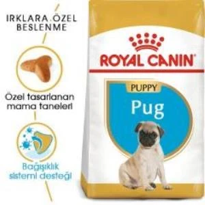 Royal Canin Pug Junior Yavru Köpek Maması 1,5 kg + 2 Adet Yaş Mama Hediye - 2