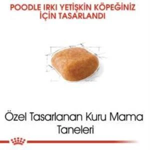 Royal Canin Poodle Adult Köpek Maması 3 Kg + 2 Adet Yaş Mama Hediye - 3