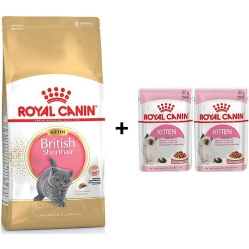 Royal Canin Kitten British Shorthair Yavru Kedi Maması 2 kg + 2 Adet Yaş Mama Hediye