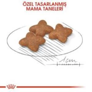 Royal Canin Mini Adult Köpek Maması 2 kg + 2 Adet Yaş Mama Hediye - 4
