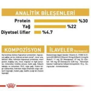 Royal Canin Persian Yetişkin Kedi Maması 2 kg + 2 Adet Yaş Mama Hediye - 7