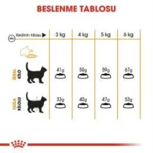 Royal Canin Hair Skin  Kedi  Maması 2 Kg + 2 Adet Yaş Mama Hediye - Resim 5