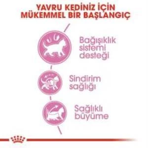 Royal Canin Kitten Yavru Kuru Kedi Maması 2 Kg + 2 Adet Yaş Mama Hediye - 5