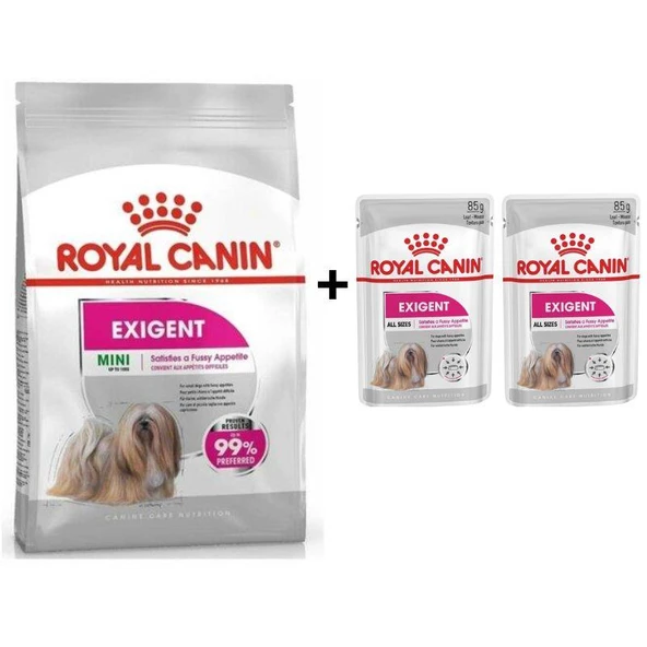 Royal Canin Mini Exigent Köpek Maması 3 Kg + 2 Adet Yaş Mama Hediye ürün görseli
