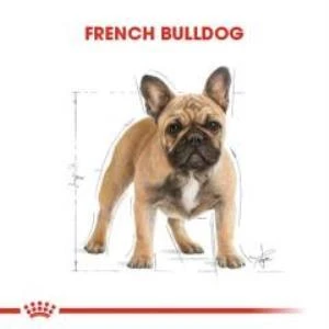 Royal Canin French Bulldog Yetişkin Köpek Maması 3 kg + 2 Adet Yaş Mama Hediye - 4