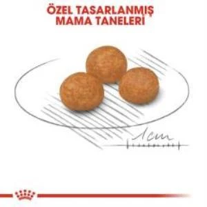 Royal Canin X-Small Küçük Irk Köpek Maması 3 Kg + 2 Adet Yaş Mama Hediye - 3